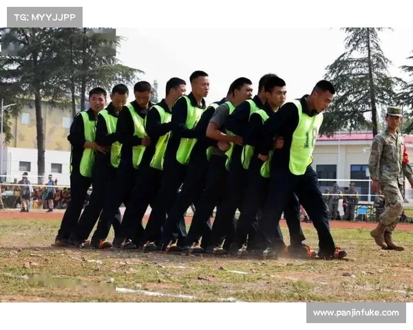 2016散打赛事(2016年度散打锦标赛巅峰对决英雄争霸荣耀时刻精彩回顾)