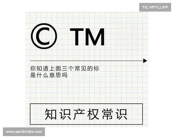 赛事IP知识产权涵盖要素全面解析及核心内容探索 赛事IP知识产权涵盖要素全面解析及核心内容探索