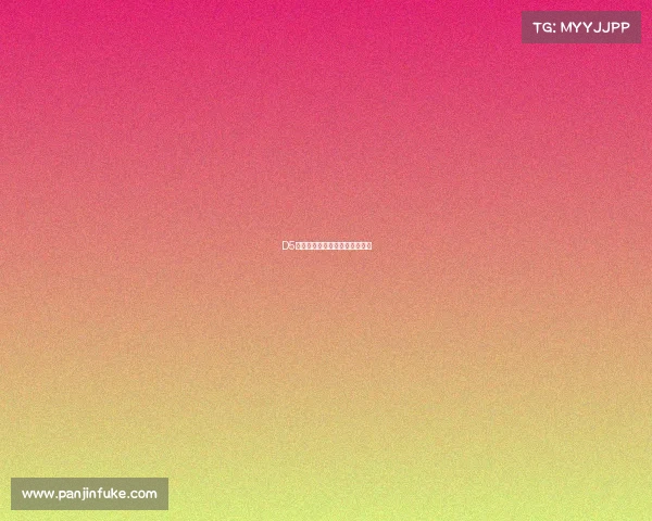 D5战队开启新征程，赛场风云再起